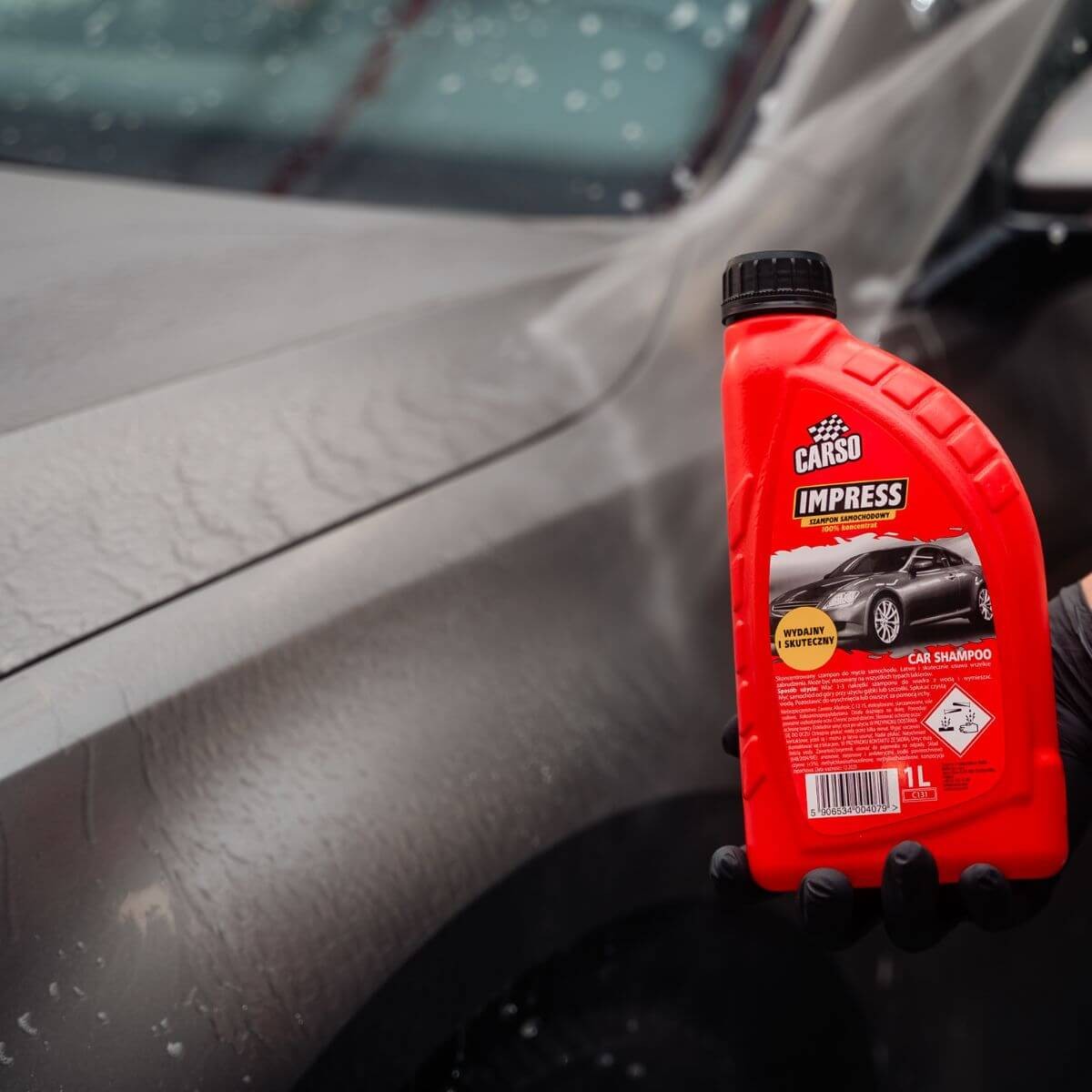 CARSO IMPRESS - obrazek 8