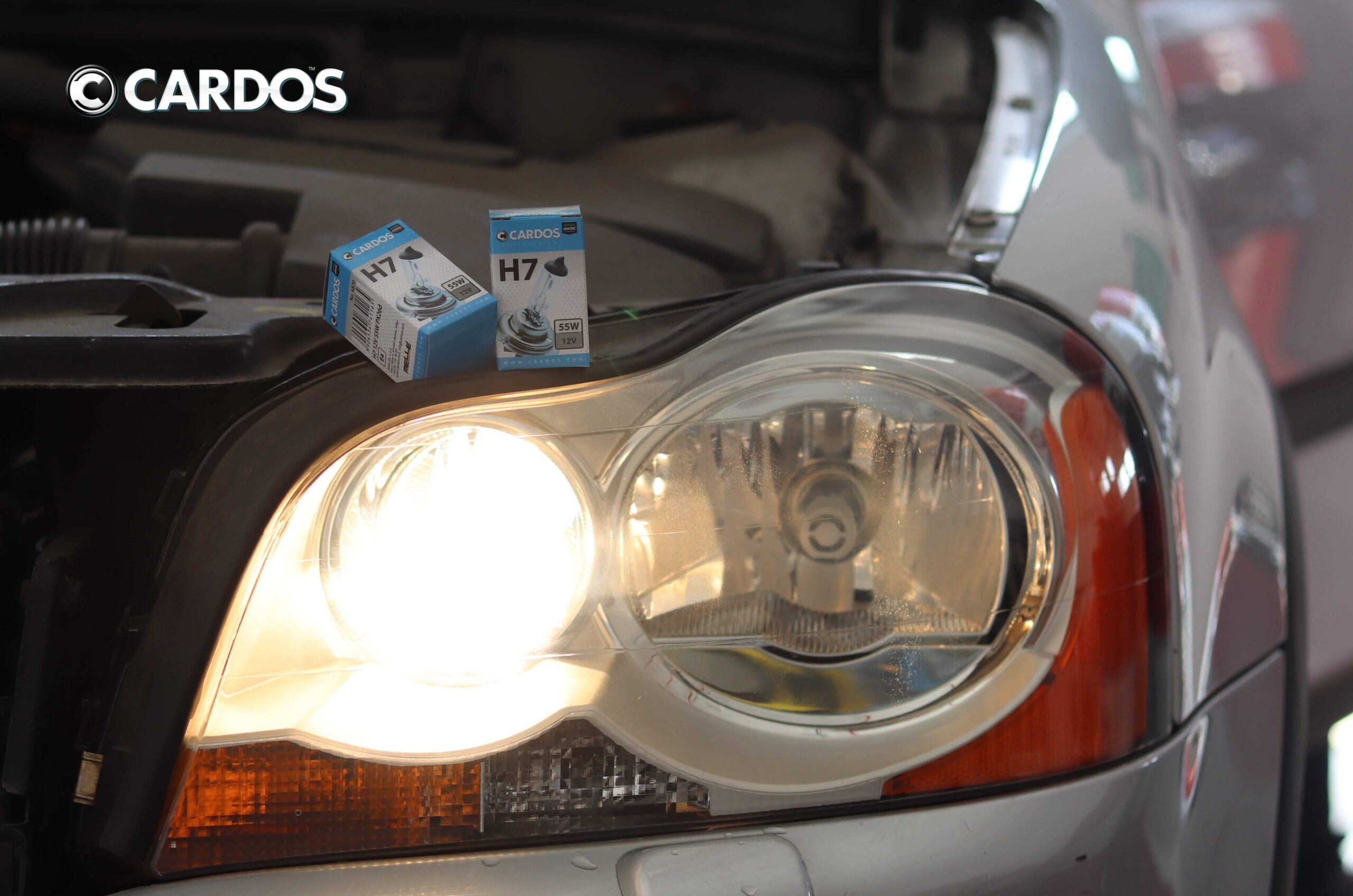 CARDOS HALOGEN H7 12V - obrazek 7