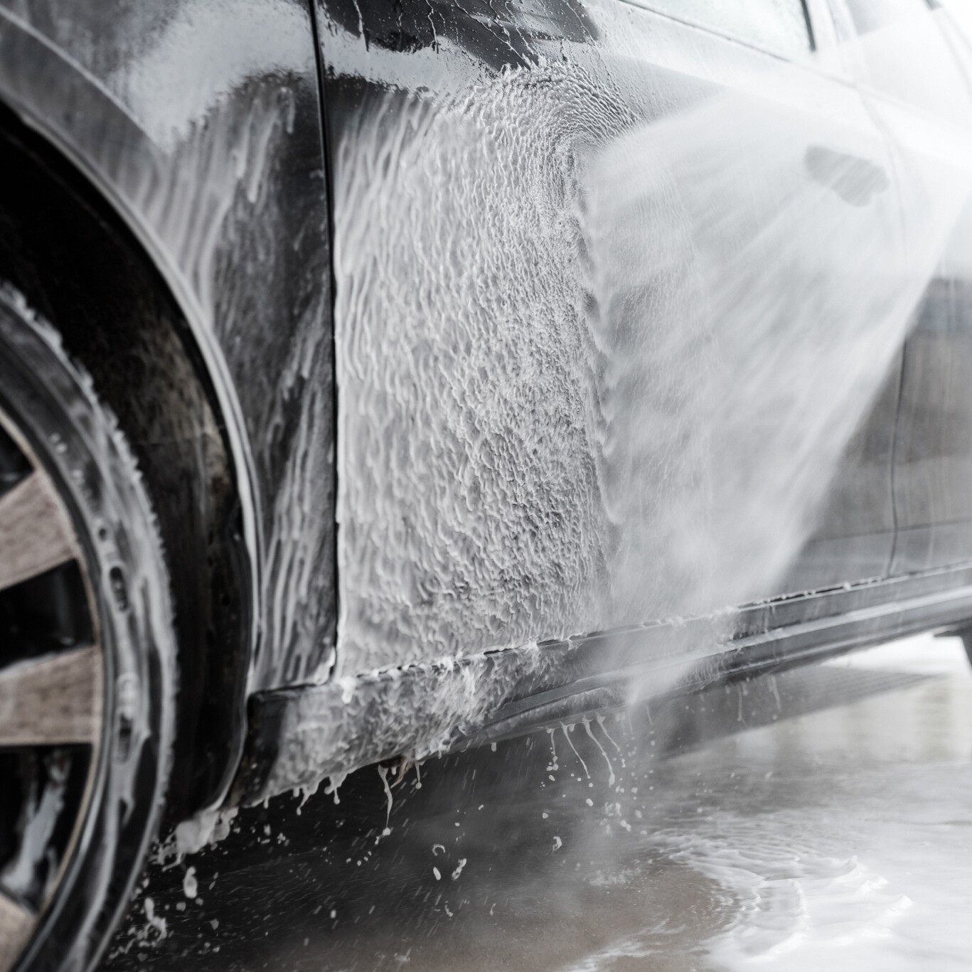 K2 BELA 1L BLUEBERRY - obrazek 9