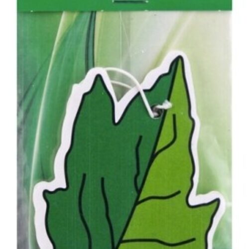 K2 FLORA FRESH GREEN TEA