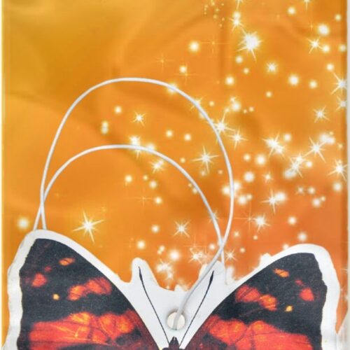 K2 FRESH WIND VANILLA DUOPACK