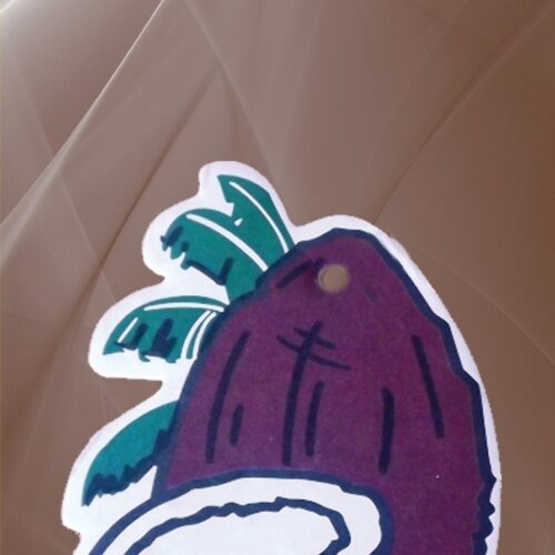 K2 FRUTTI COCONUT DUOPACK