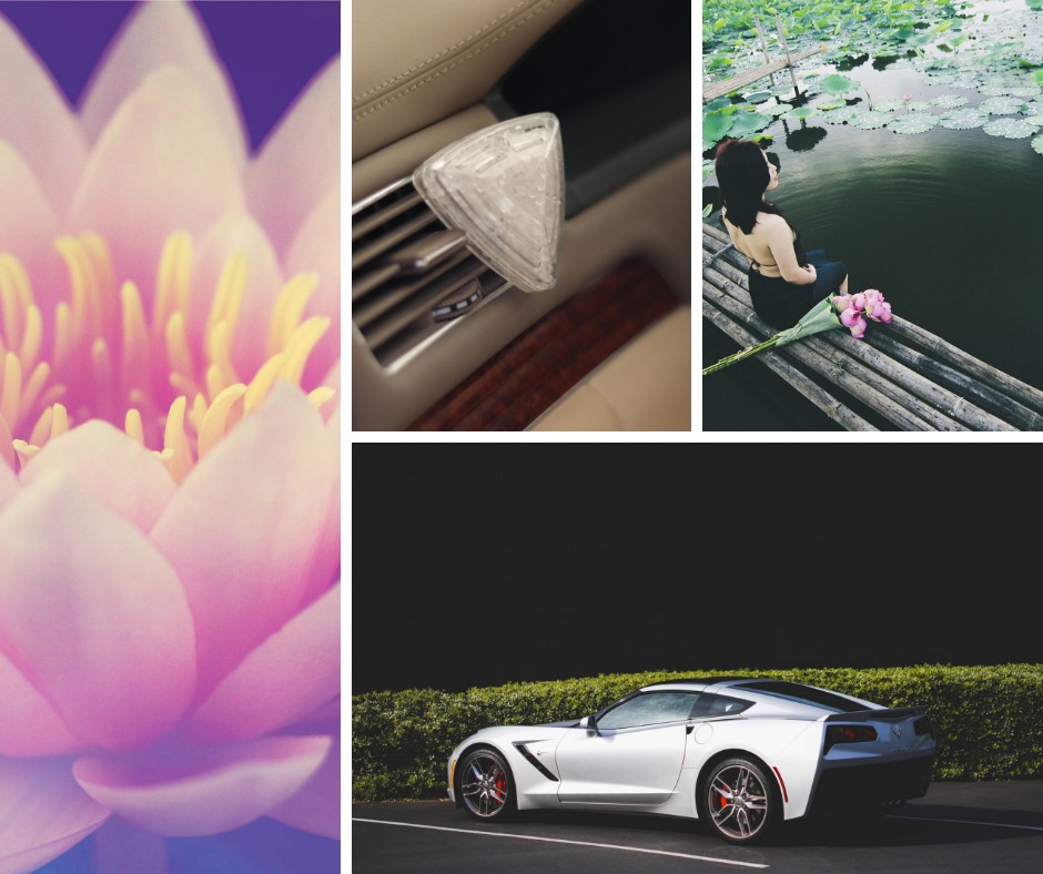 K2 DIAMO LOTUS - obrazek 3