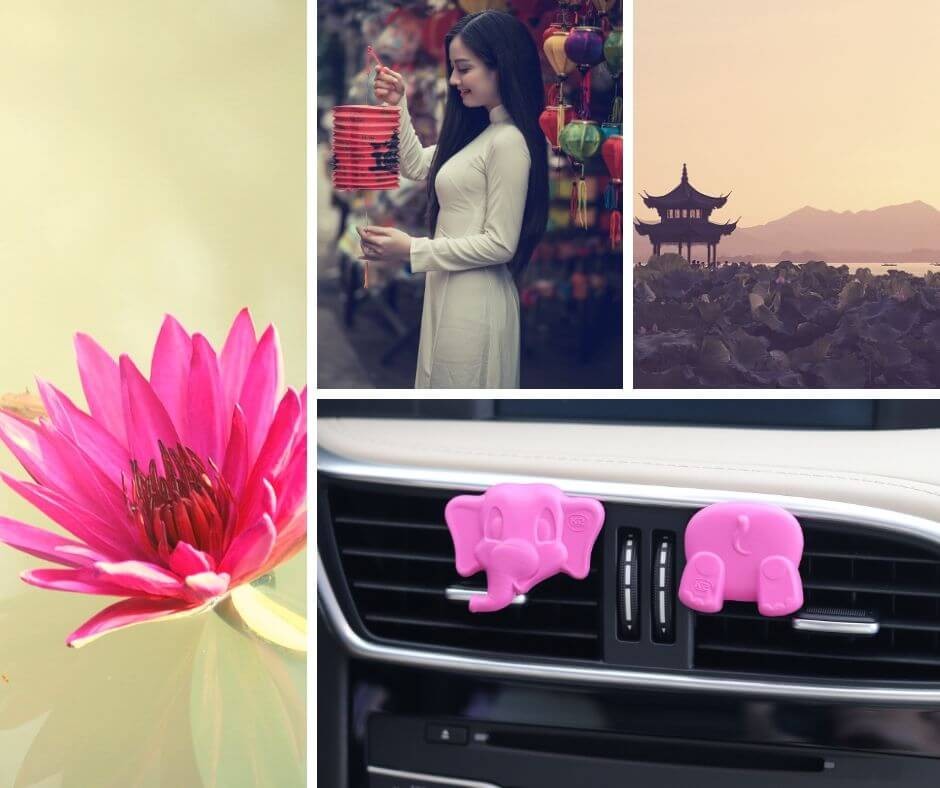 K2 ARLO LOTUS - obrazek 4