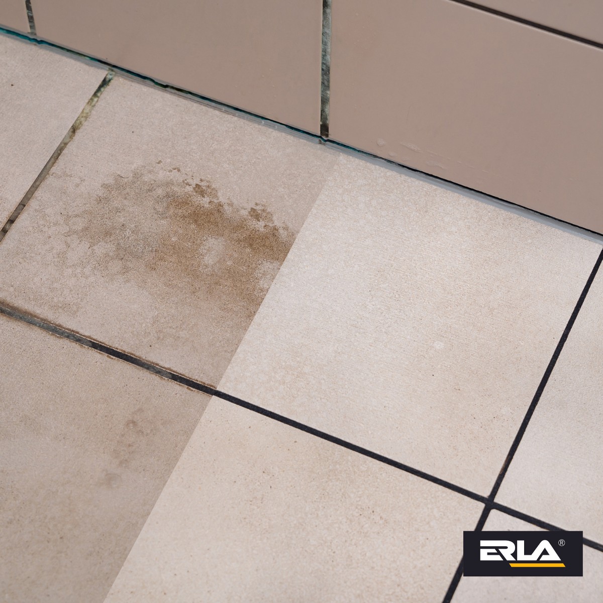 ERLA SANIZ MAX 750ml - obrazek 11