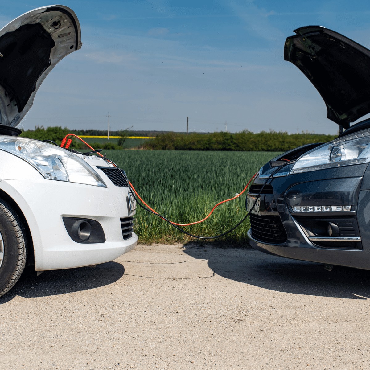 CARDOS Przewody rozruchowe 400A - obrazek 8