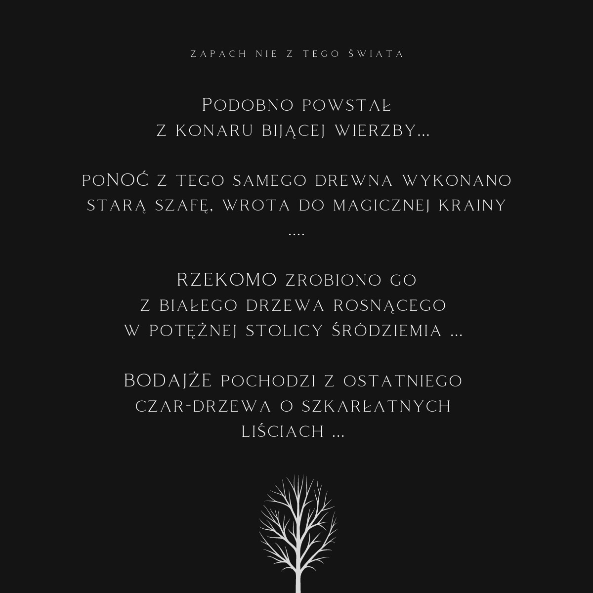 K2 EVOS BOSS - obrazek 11