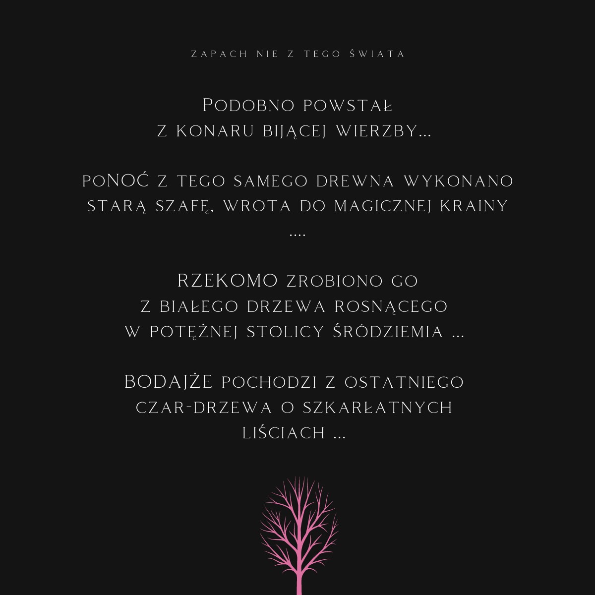 K2 EVOS UNICORN - obrazek 11