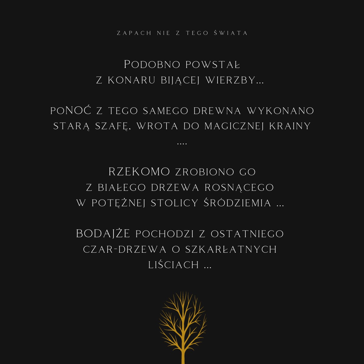 K2 EVOS SAMURAI - obrazek 11