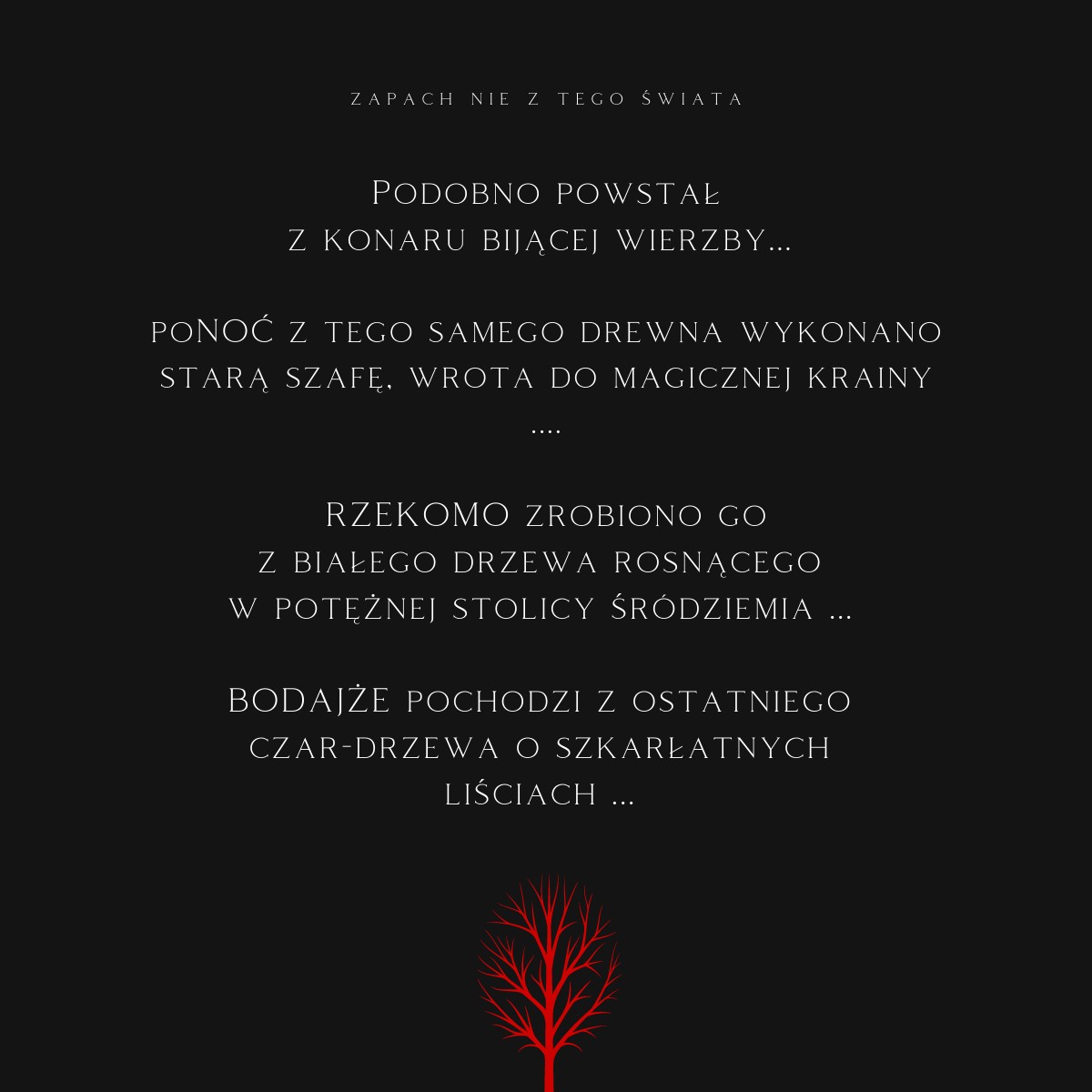 K2 EVOS SPARTA - obrazek 11