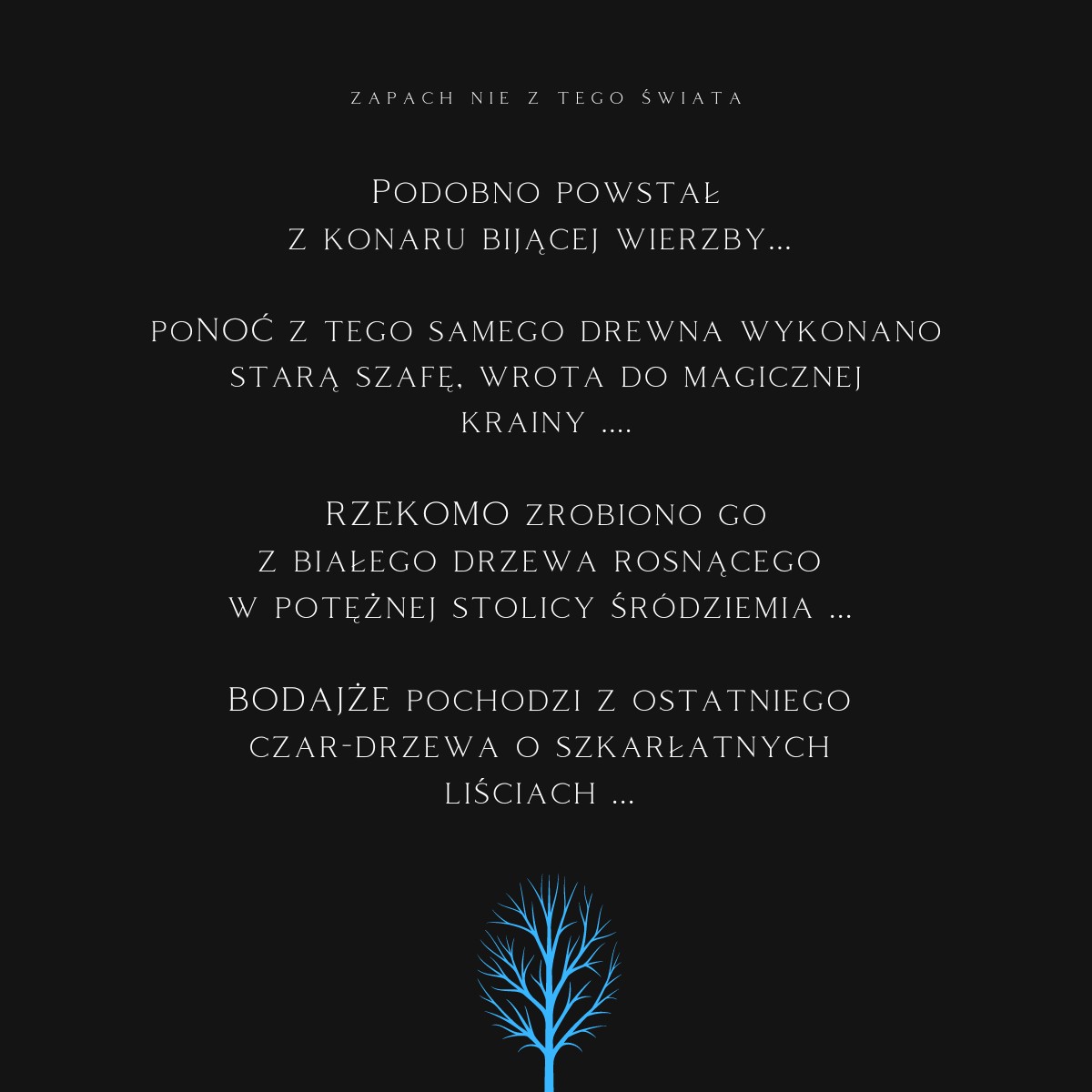 K2 EVOS VIKING - obrazek 13