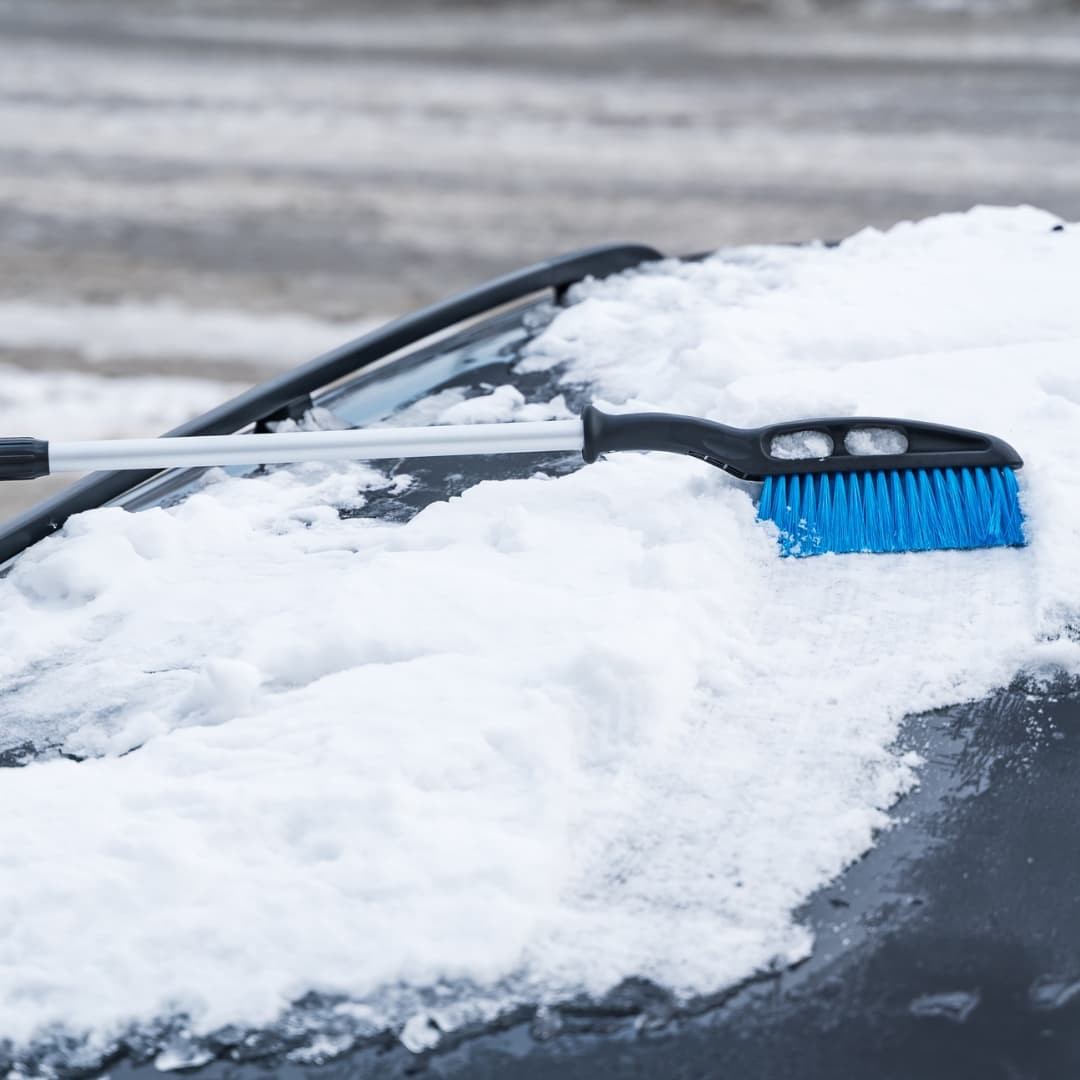 CARDOS SZCZOTKO-SKROBACZKA Z PRZEDŁUŻANĄ RĄCZKĄ - obrazek 8