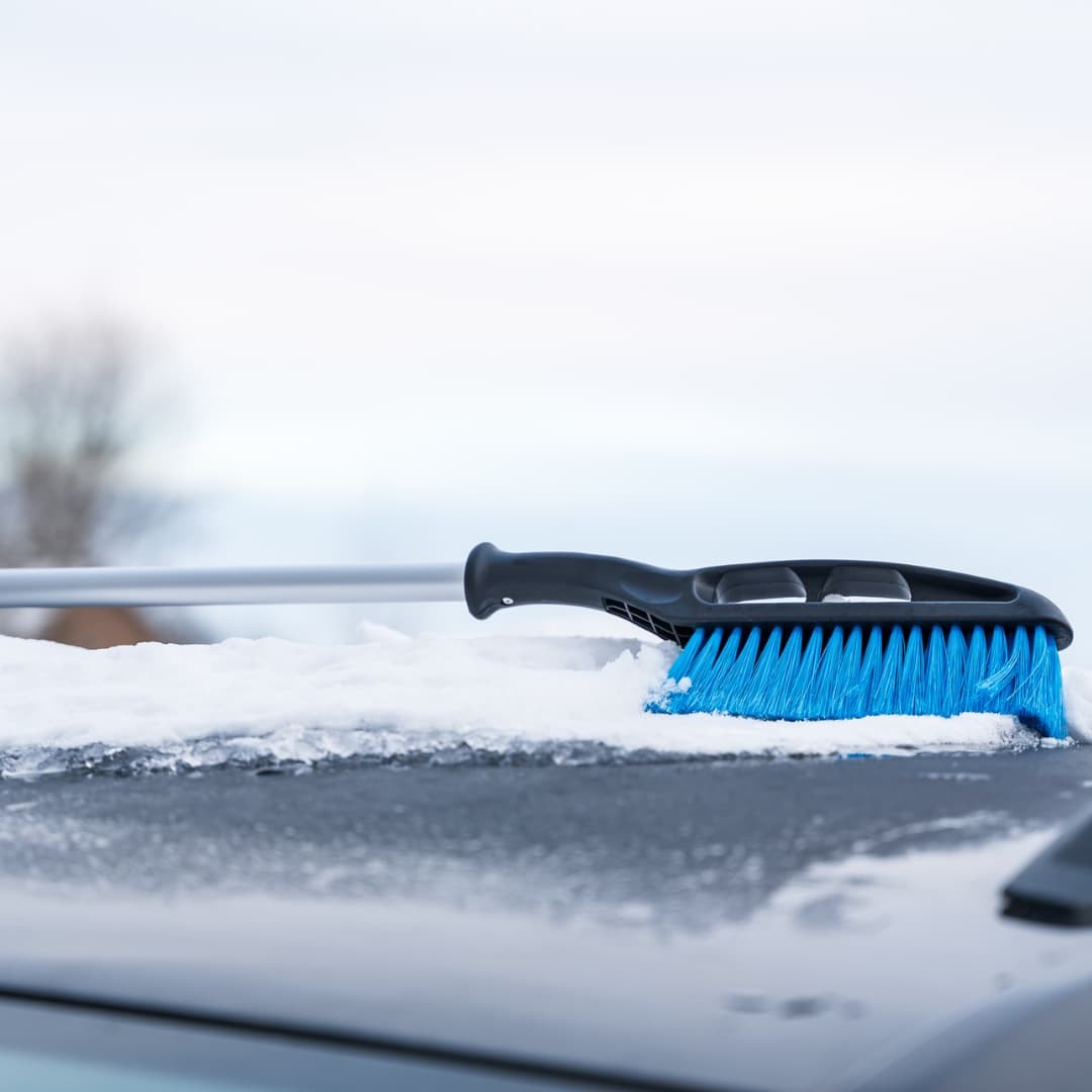 CARDOS SZCZOTKO-SKROBACZKA Z PRZEDŁUŻANĄ RĄCZKĄ - obrazek 9